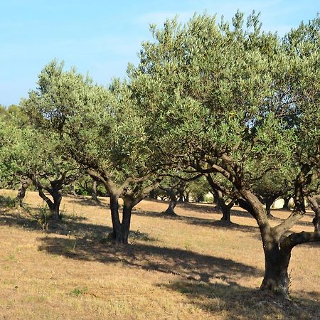 La Villa Provencale Lorgues Esterno foto