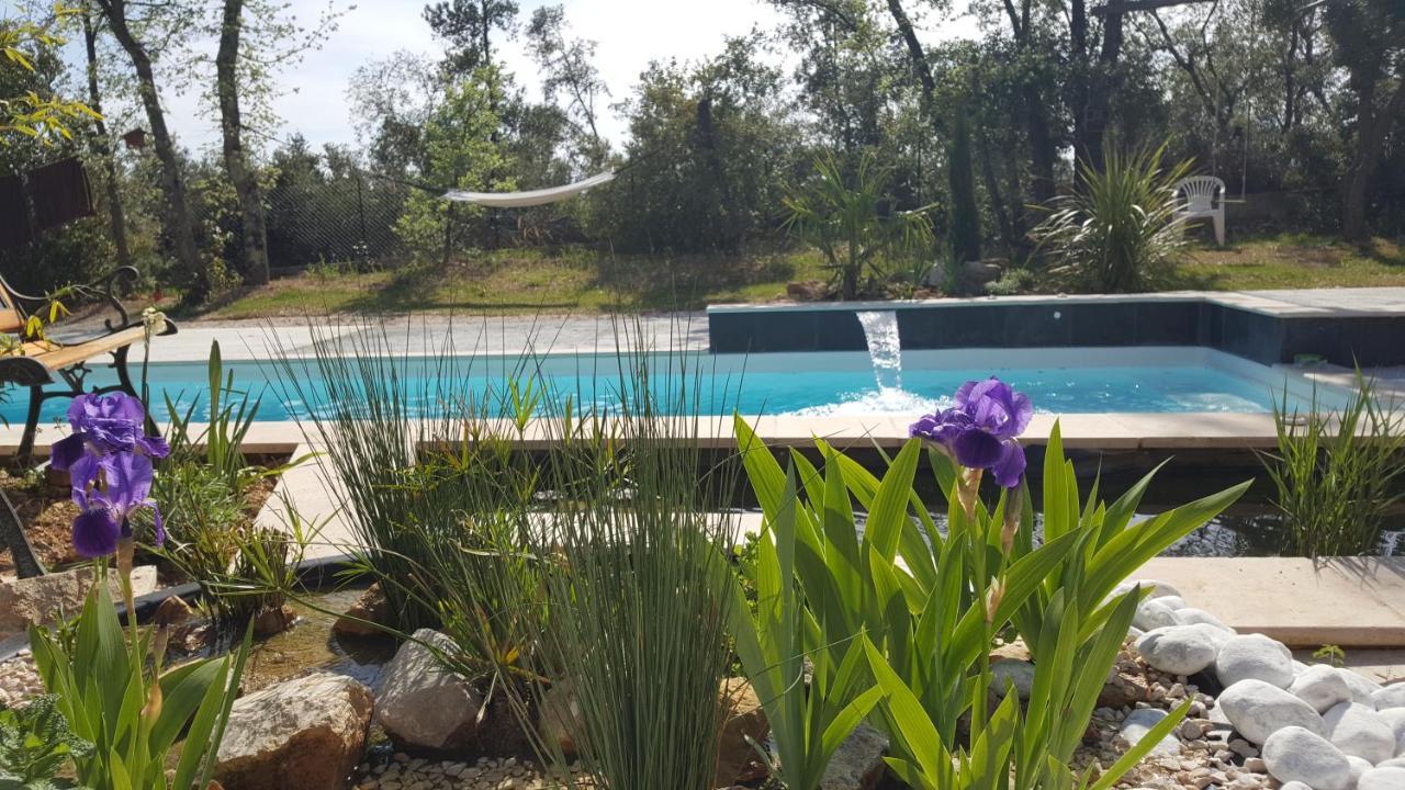La Villa Provencale Lorgues Esterno foto