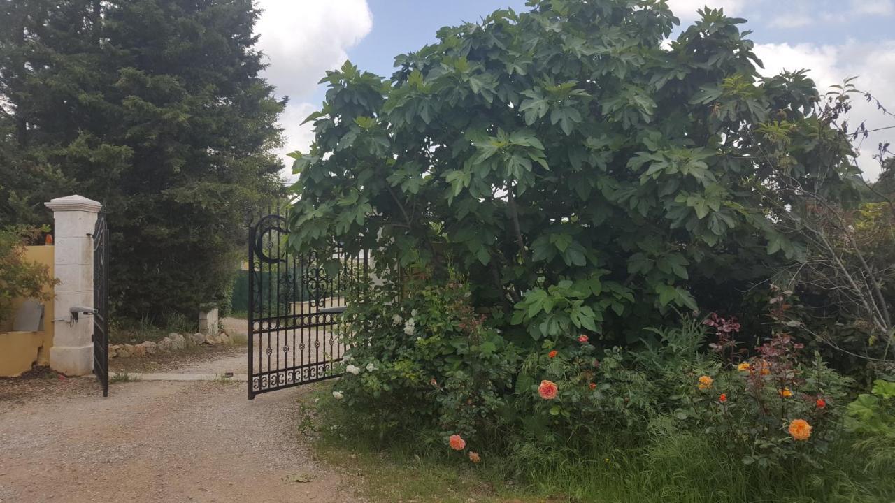 La Villa Provencale Lorgues Esterno foto
