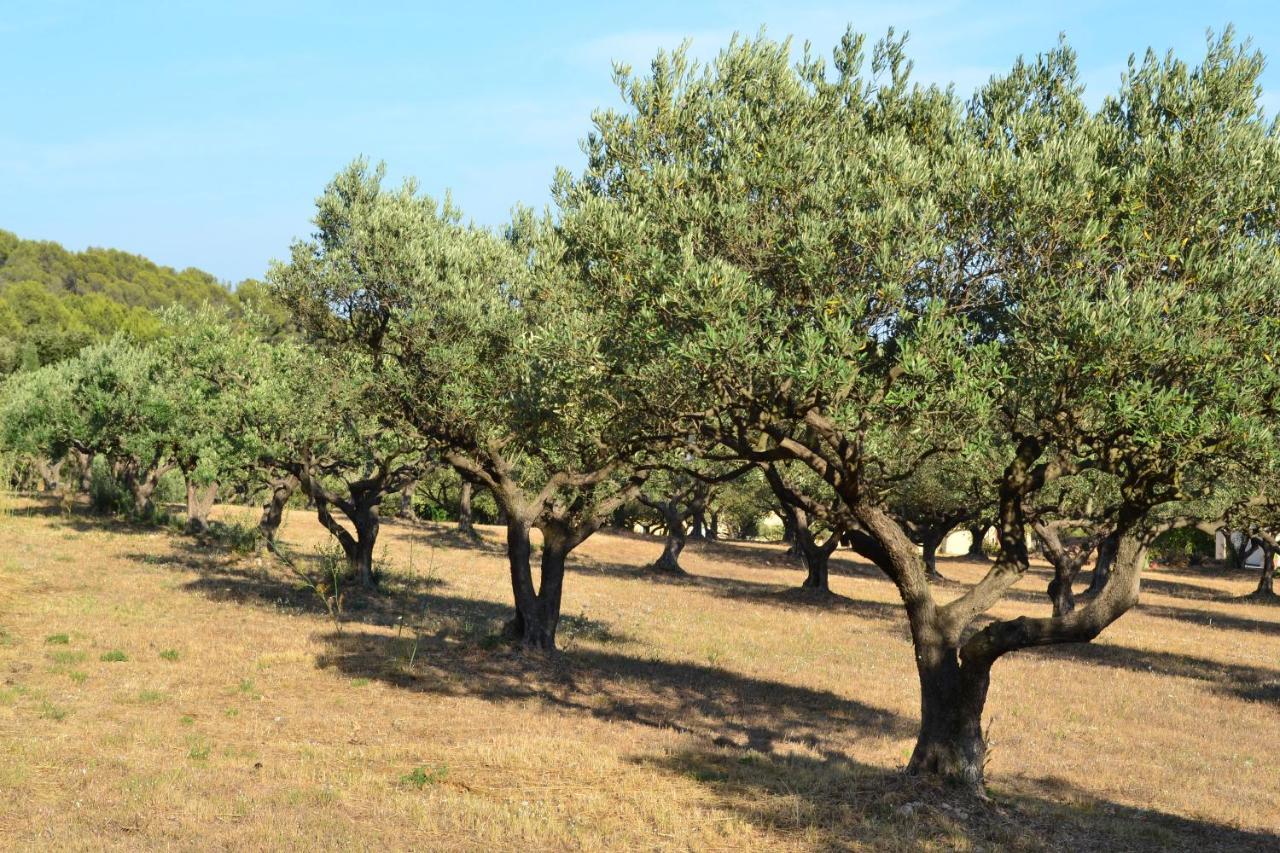 La Villa Provencale Lorgues Esterno foto
